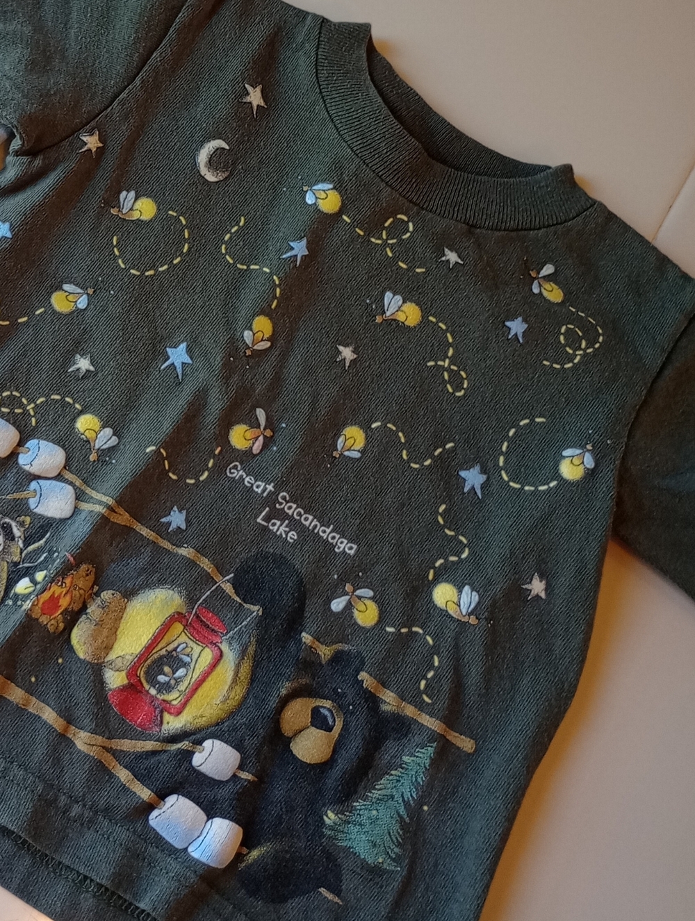 Great Sacandaga Lake 🐻🛶 Camping Animals Lightning Bugs Kids Tee